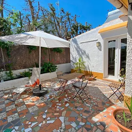 Perro Andaluz With Flower Garden In Zahora