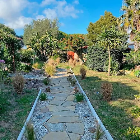 Perro Andaluz With Flower Garden In Zahora * Barbate