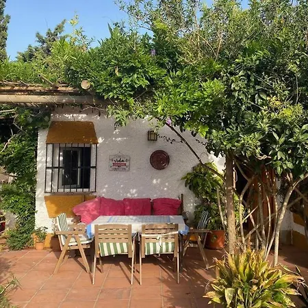 Perro Andaluz With Flower Garden In Zahora * Barbate